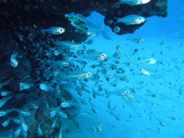 d0065247_21403147.jpg