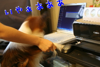 d0013149_0182165.jpg