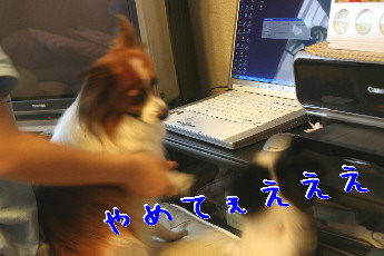 d0013149_018328.jpg