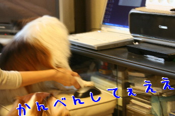 d0013149_0184442.jpg