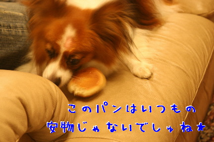 d0013149_023263.jpg