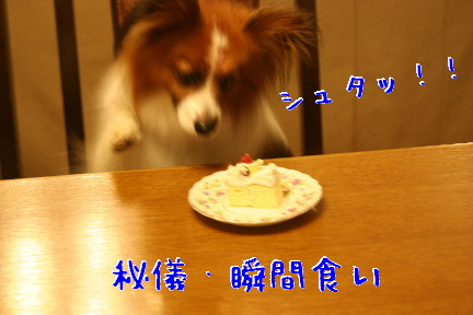 d0013149_04994.jpg