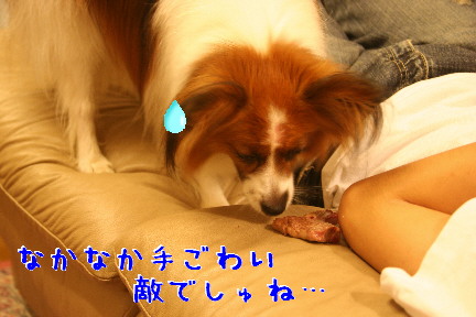 d0013149_0894.jpg