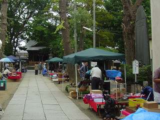 a0077054_1455298.jpg