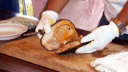 c0031856_14442897.jpg