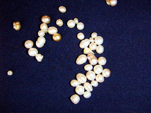 c0031856_14492742.jpg