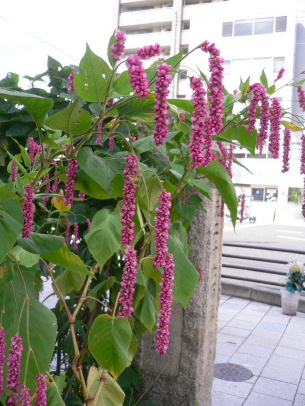 a0063364_22105322.jpg