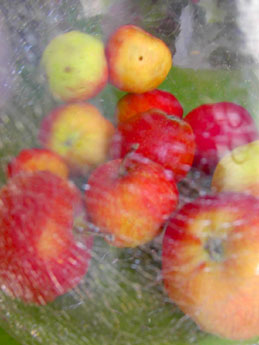 f0032969_4155981.jpg