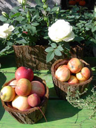 f0032969_43956100.jpg