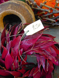 f0032969_444145.jpg