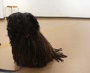 f0047369_1135311.jpg