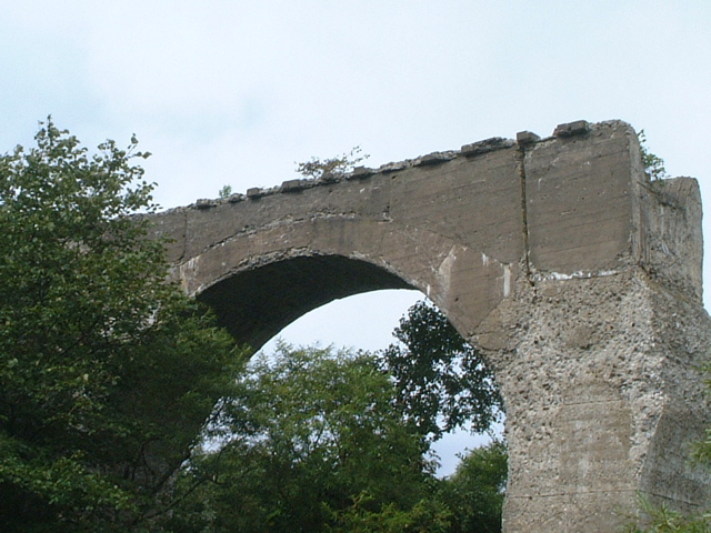 e0005280_23411117.jpg
