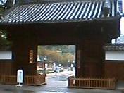 f0001781_14132573.jpg