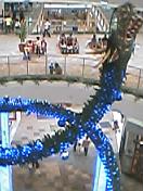 f0001781_14464027.jpg