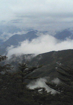 b0015089_9171569.jpg