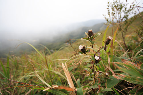 c0038290_1914827.jpg