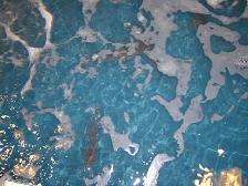 c0081394_2257251.jpg