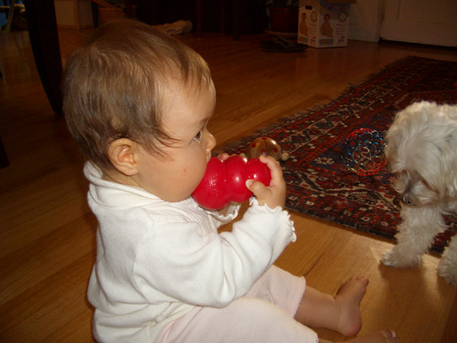 d0087194_652553.jpg