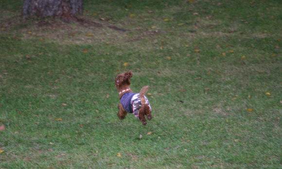 f0001895_17203714.jpg