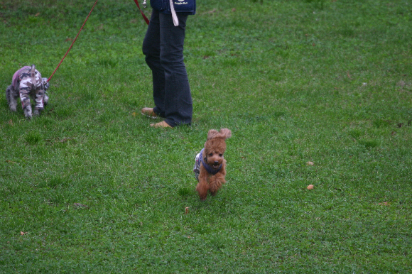 f0001895_1720938.jpg
