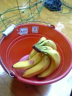 b0070797_995836.jpg