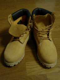 a0028298_2256115.gif
