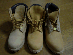a0028298_23133997.gif