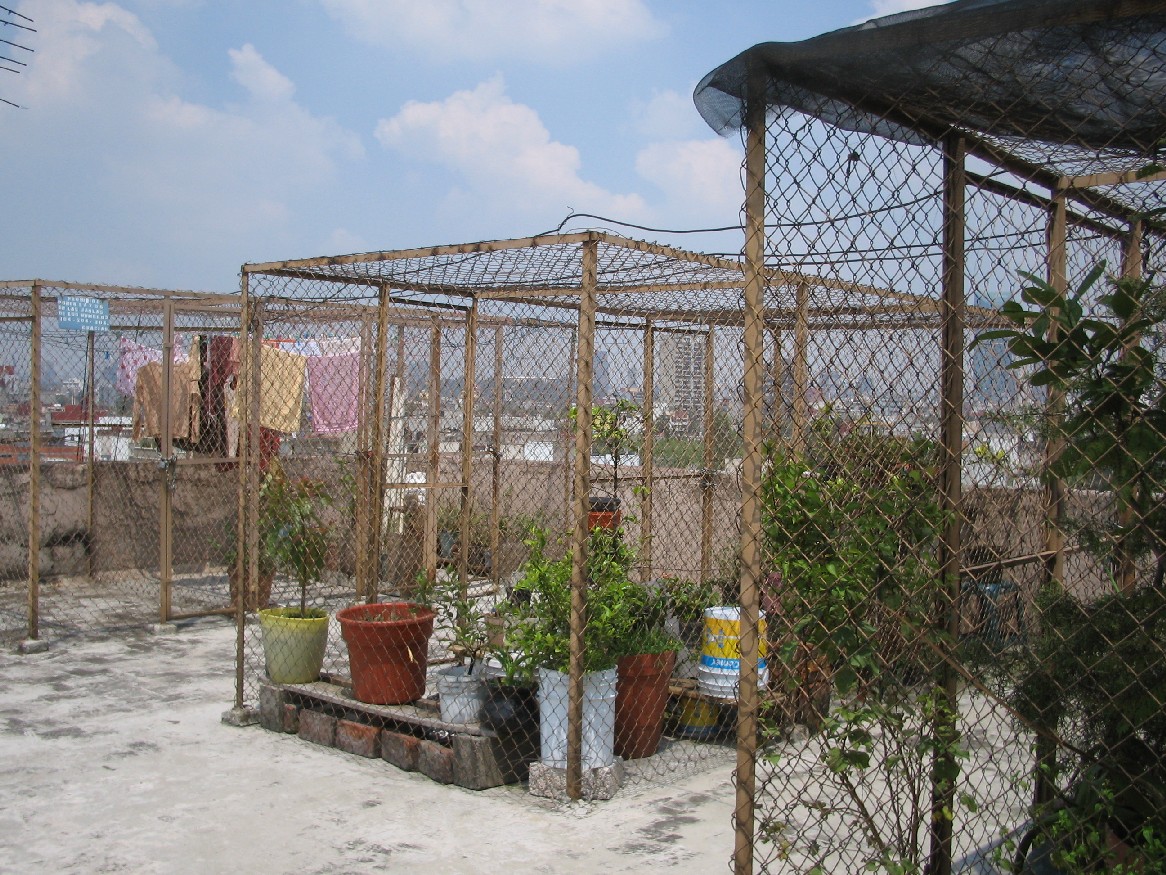 a0087598_9342967.jpg