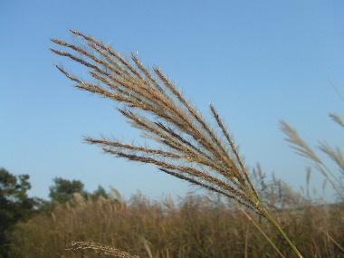 f0041606_12393141.jpg
