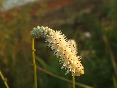 f0041606_12414839.jpg