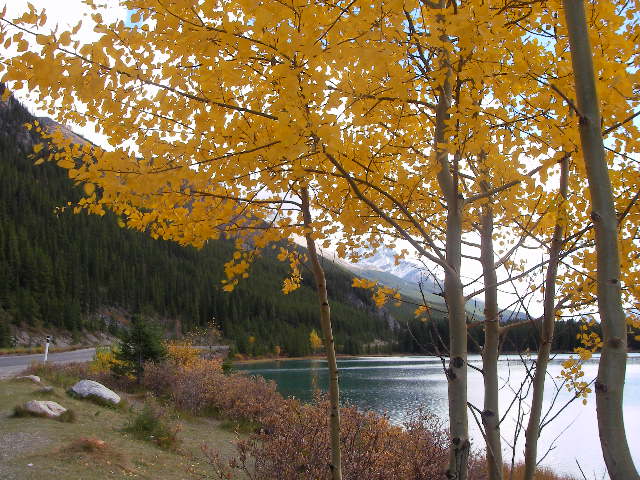 f0038407_21144773.jpg