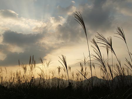 a0041508_2353413.jpg