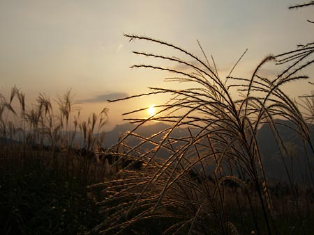 a0041508_23553465.jpg