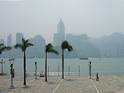 d0042618_0263147.jpg