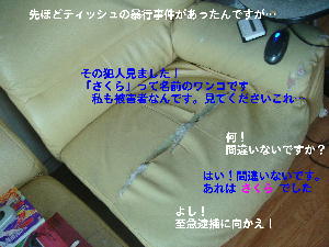 f0066824_15414418.jpg