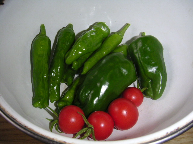 a0020929_2023193.jpg