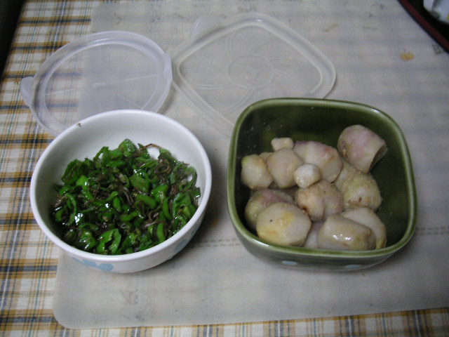 a0020929_20543288.jpg