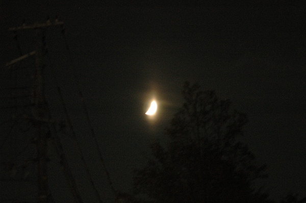 a0017634_7164565.jpg
