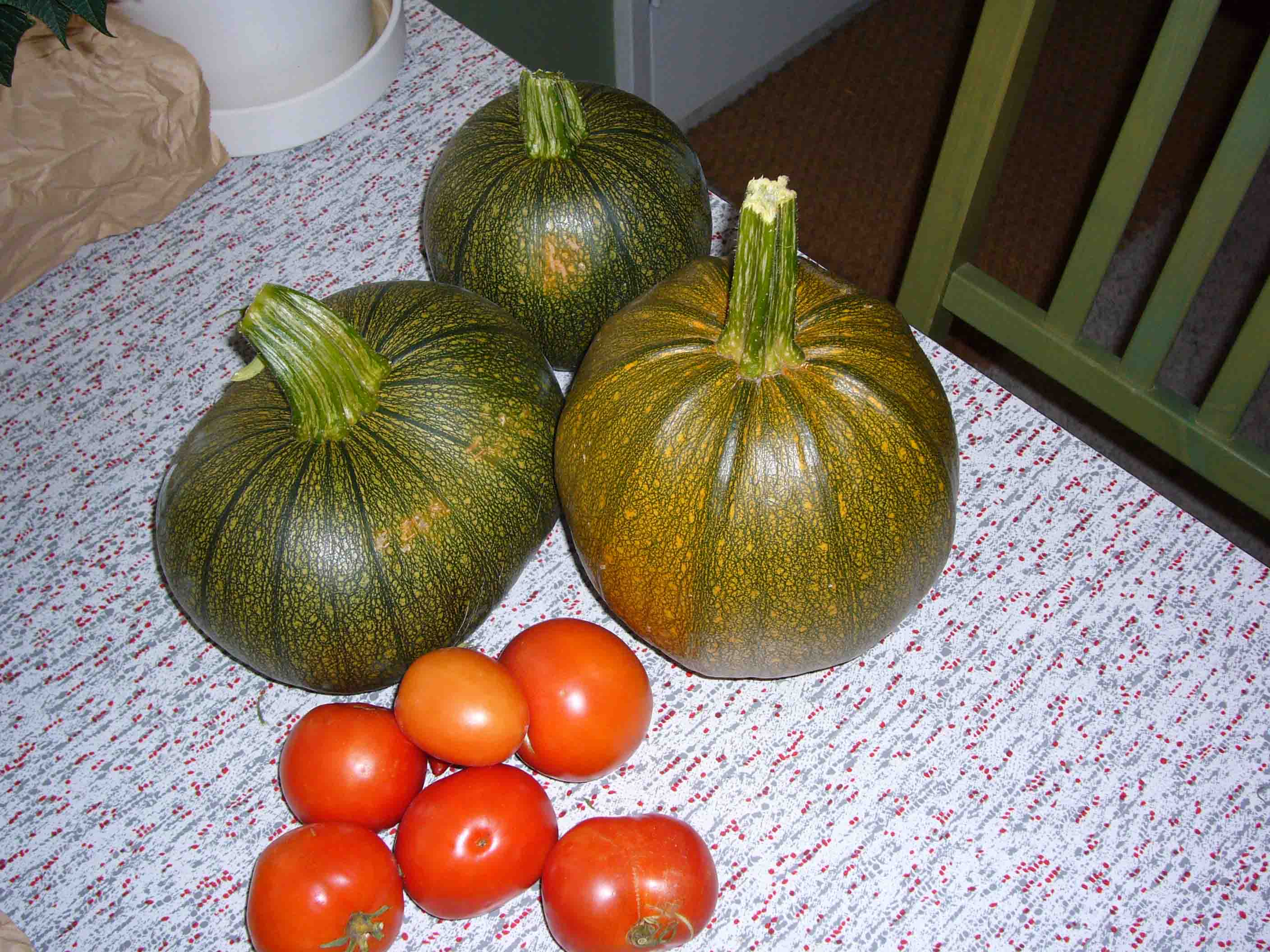 c0077835_542711.jpg