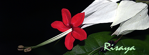 e0072638_2284285.jpg