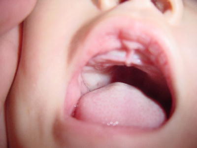 c0093339_22132142.jpg