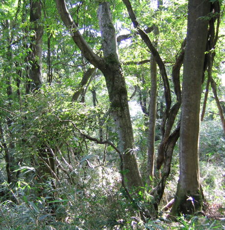 e0049740_18314431.jpg