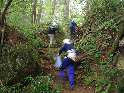c0024743_21442889.jpg