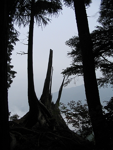 c0024743_21451981.jpg