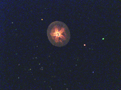 e0005548_0311567.jpg