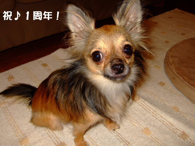 e0088654_011599.jpg