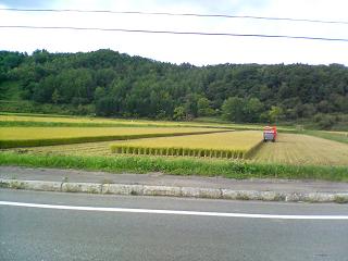 f0049160_1958028.jpg