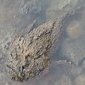 a0030168_10145091.jpg