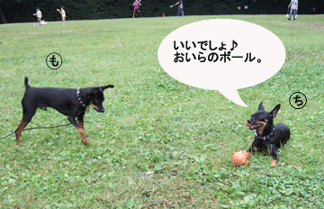 c0012571_14125660.gif