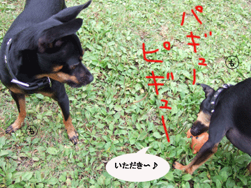 c0012571_14135878.gif